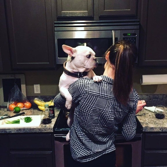 Meet your Posher, Robin - Picture 2 of 2